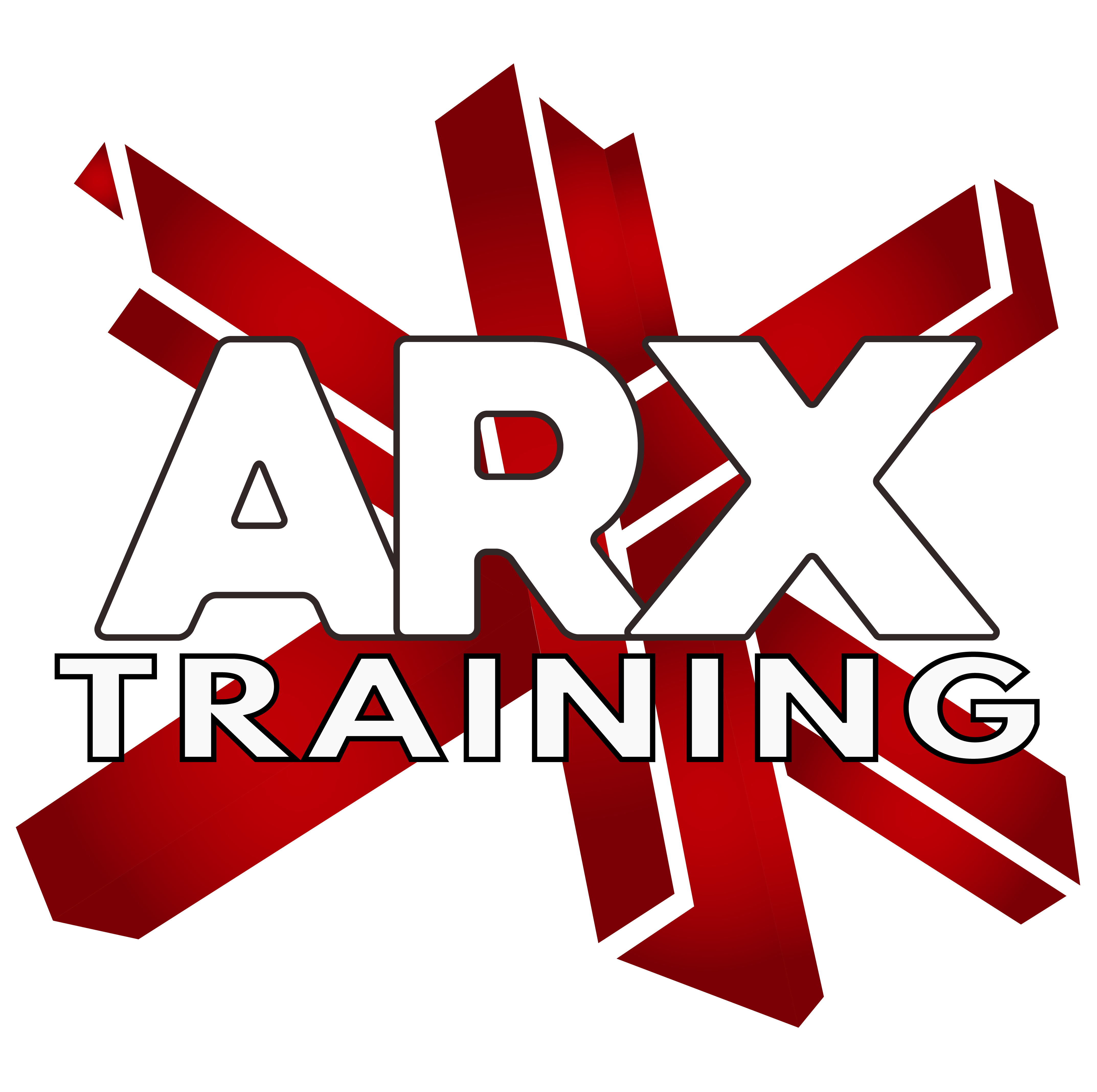 ARX Training