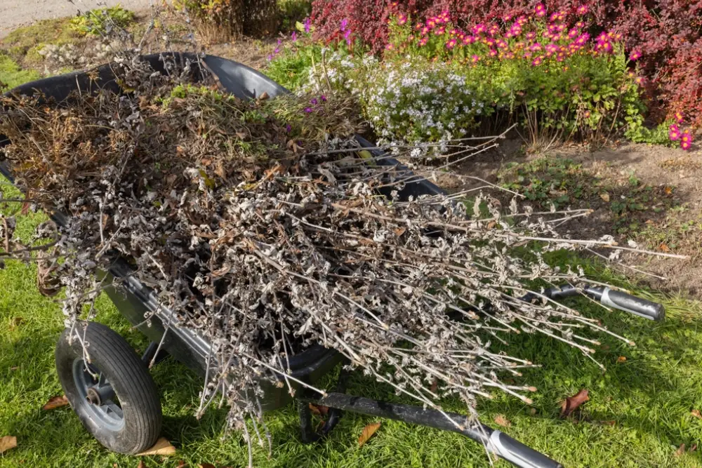  Residential junk removal