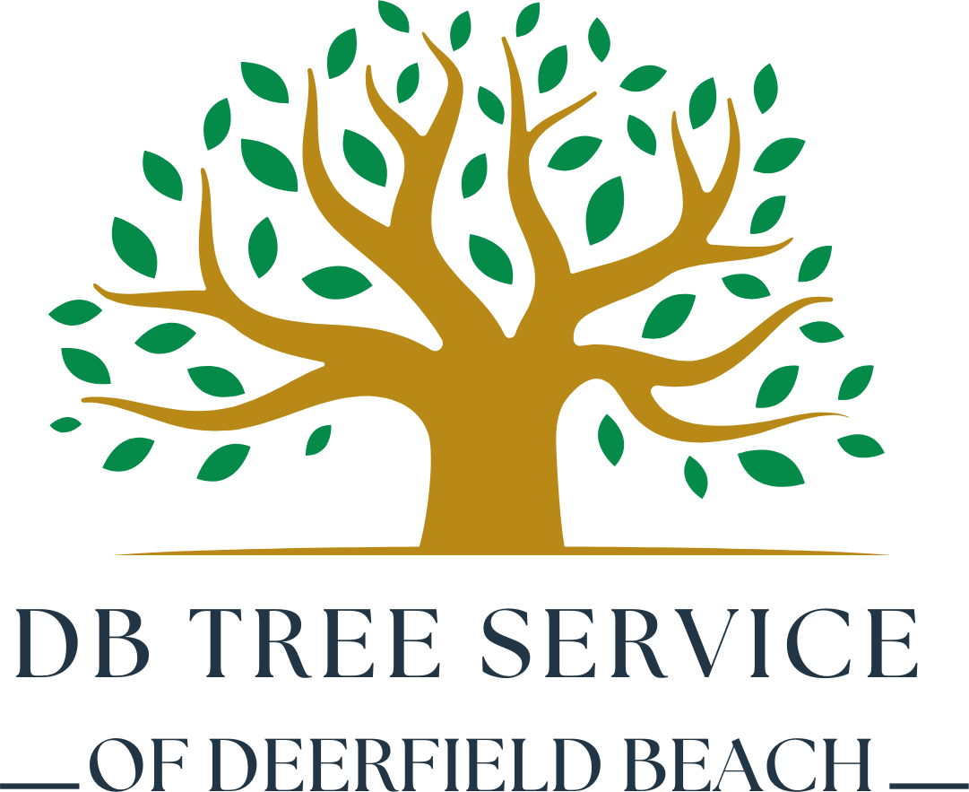 DB Tree Service of Deerfield Beach logo