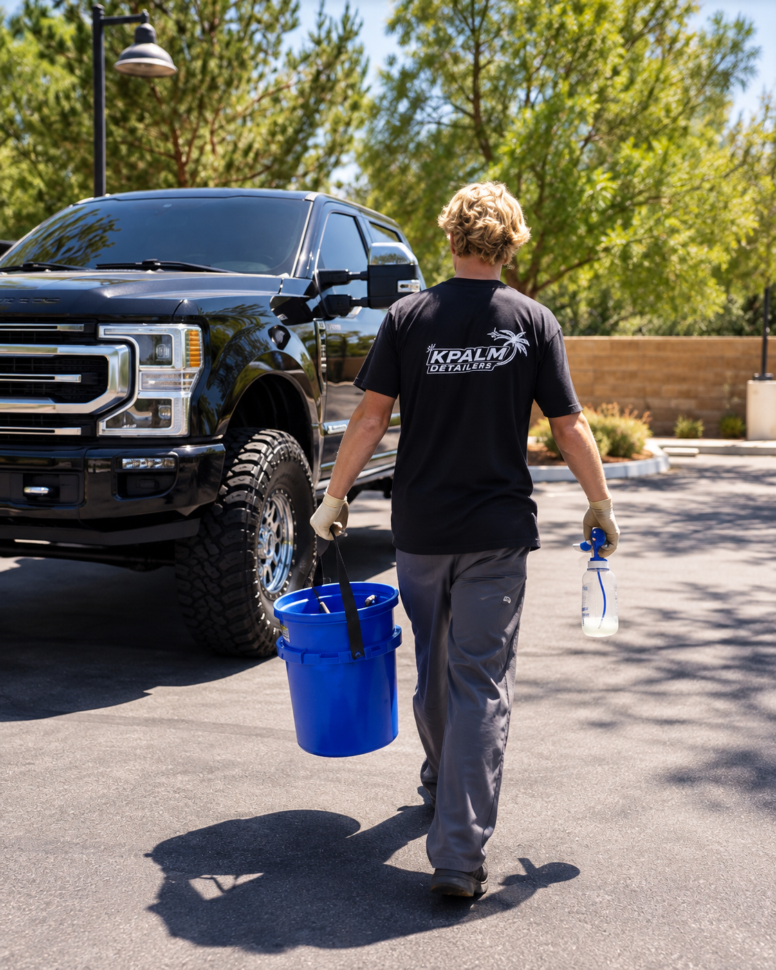 Professional automotive detailing