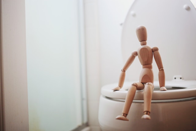 on the toilet gut health on the toilet gut health