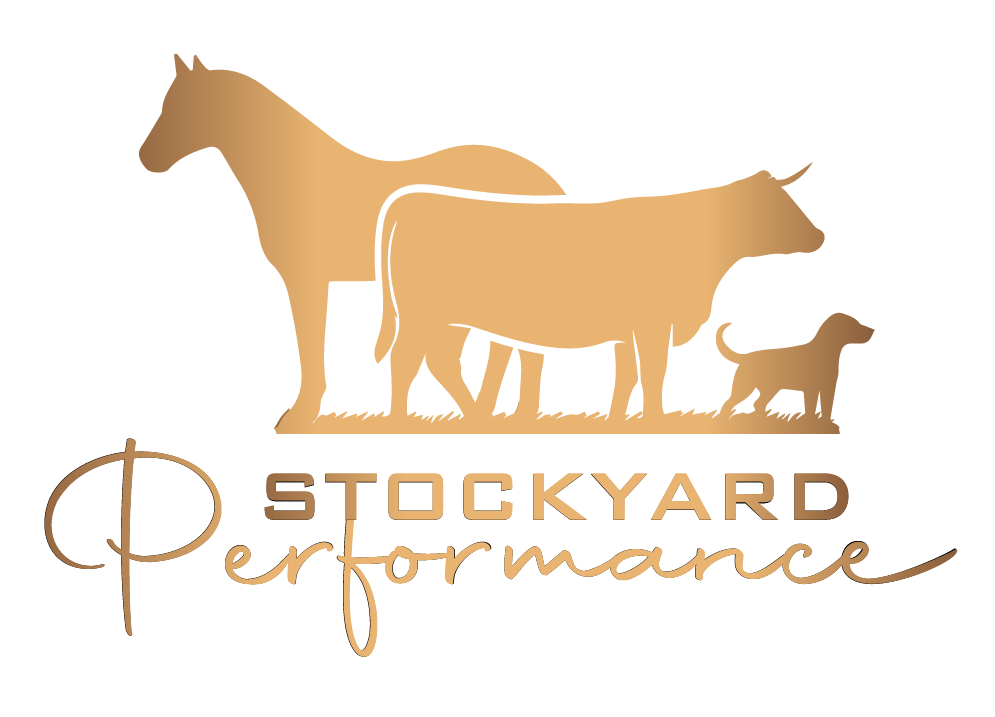 Stockyard Performance Chiropractic & Rehab