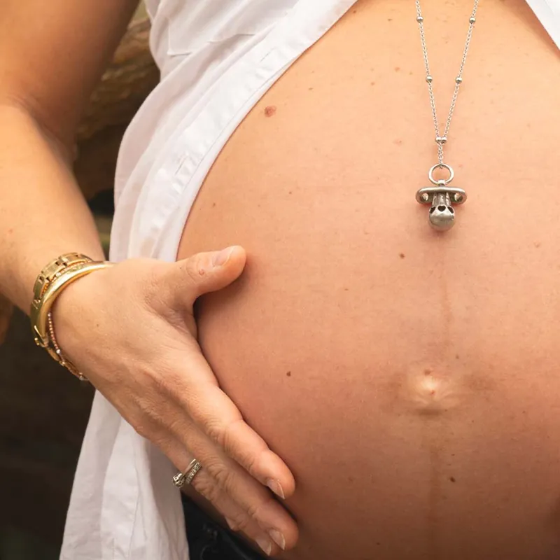 Pancione in primo piano, accarezzato dalle mani di Giovi