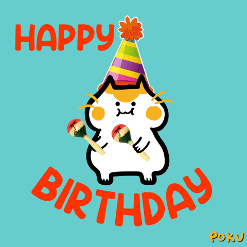 cat birthday dancing cat birthday dancing