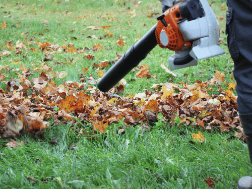 Yard & Property Cleanup in Ramona