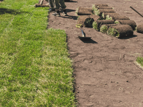 Sod Installation in Ramona