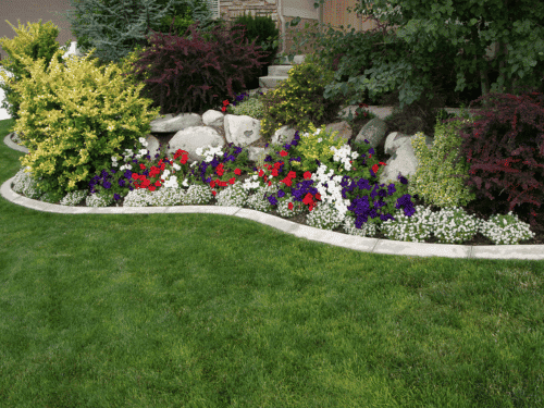 Plant Installation in Ramona