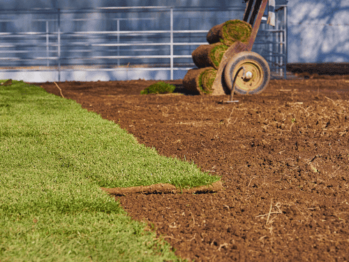 Julian Sod Installation