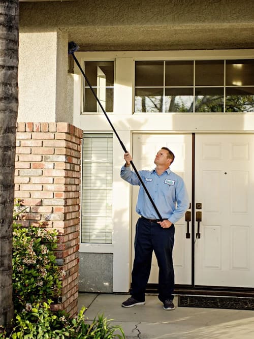 pest control in Chino Hills