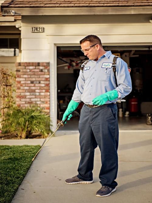 pest control in Chino Hills
