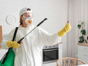 {{ custom_values.service_1 }} in {{custom_values.area_1})