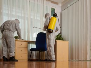 {{ custom_values.service_4 }} in {{custom_values.area_3})