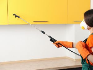 Ant Control in Chino Hills