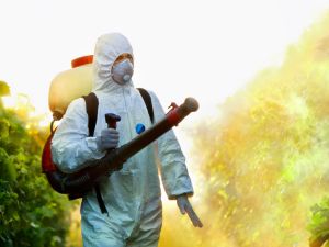 General Pest Control in Chino Hills