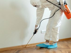 General Pest Control in Chino