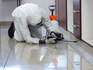 Rodent Control in Chino