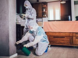 {{ custom_values.service_2 }} in {{custom_values.area_3})