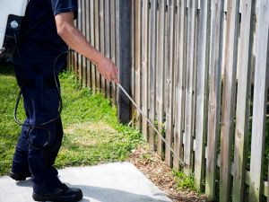 Rodent Control in Chino Hills