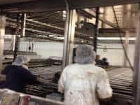 Orlando Baking proofer rebuild photo 4