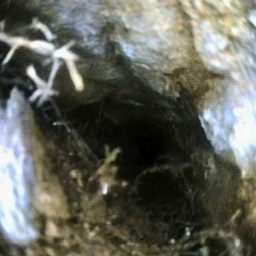 Cracked drain line below slab, primary bath