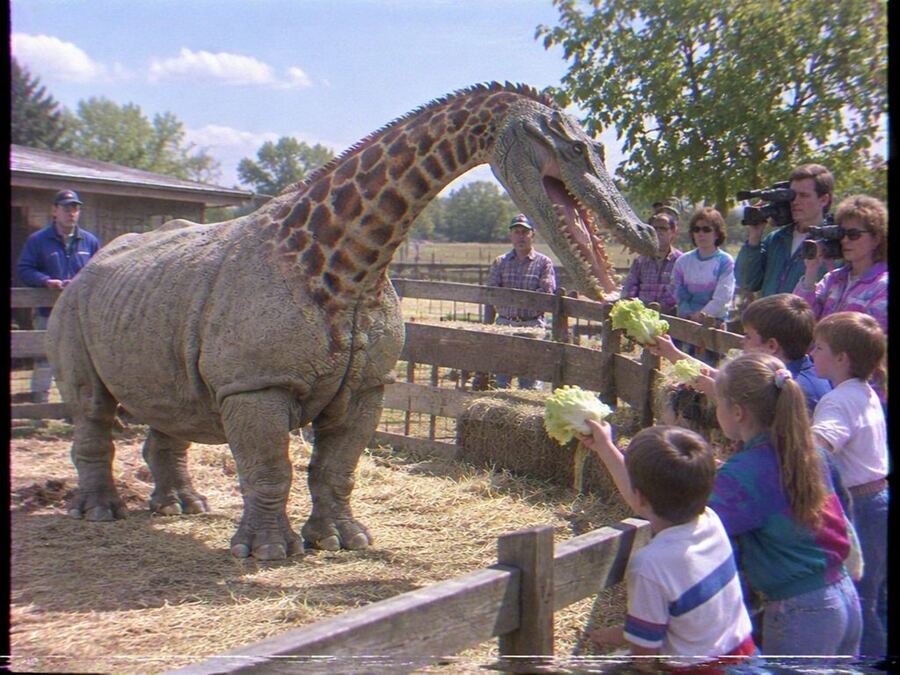 Children feeding a rhino-giraffe-alligator at a petting zoo