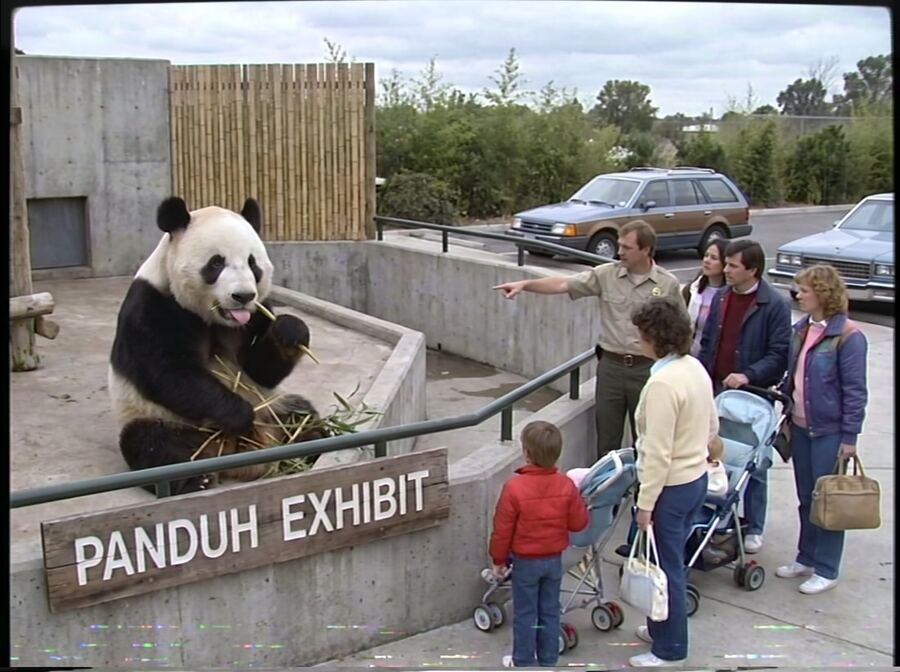 A panda at a zoo exhibit with a misspelled 'PANDUH EXHIBIT' sign