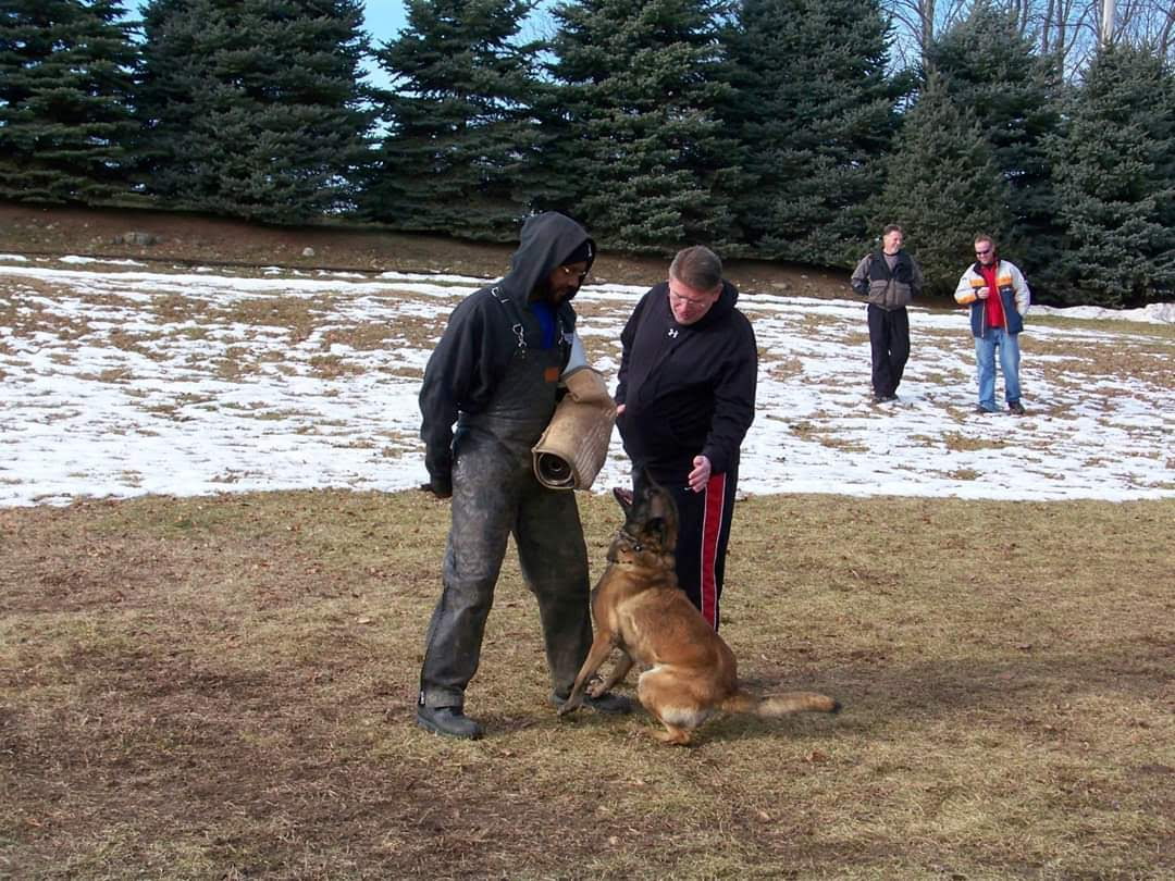Aggression and reactivity work