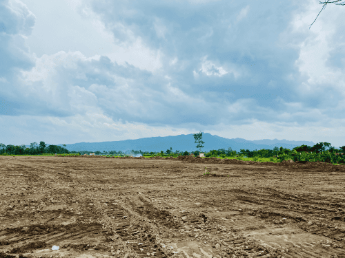 Land Clearing in Cedar Vale