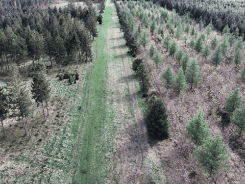 Firebreak & Property Maintenance in Cedar Vale