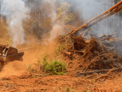 Flagstone Tractor Slashing