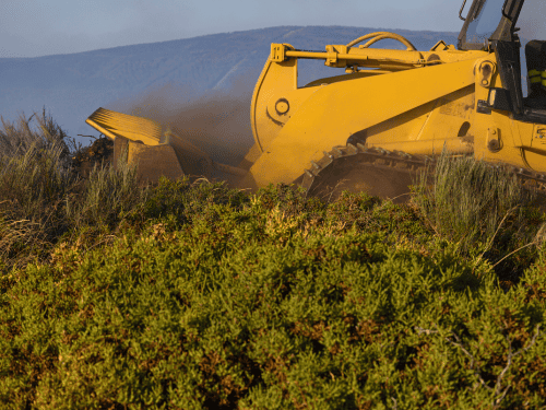 Greenbank Forestry Mulching