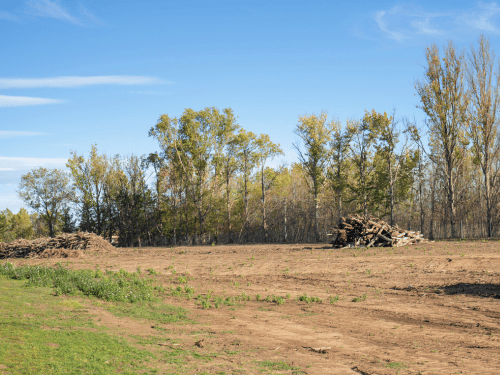Greenbank Tractor Slashing