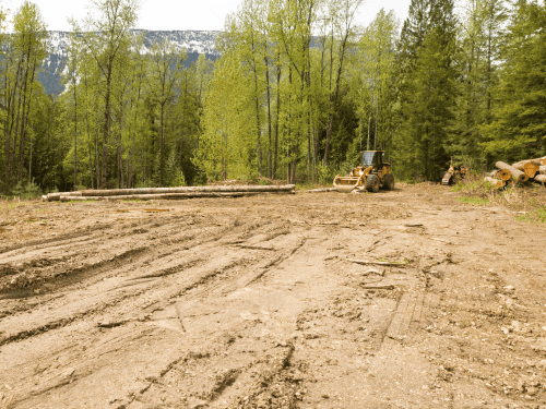 Jimboomba Land Clearing
