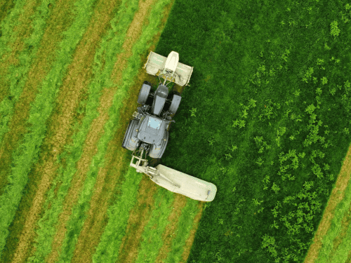 Jimboomba Tractor Slashing