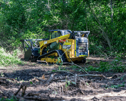 Land Clearing Cedar Vale