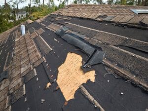 {{ custom_values.service_3 }} in {{custom_values.area_6})