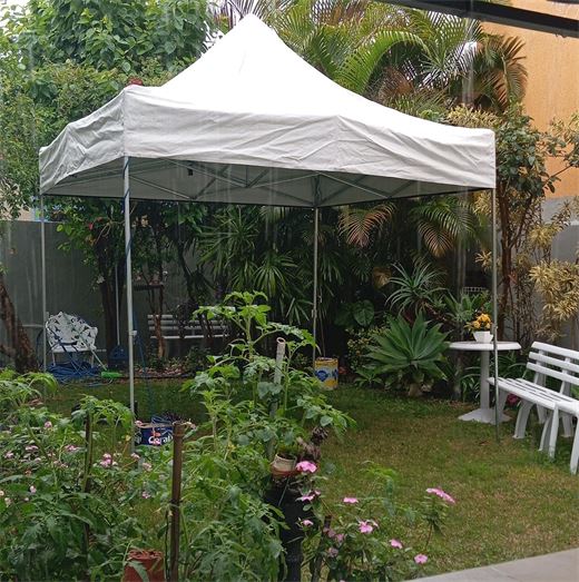 Tenda branca montada em jardim