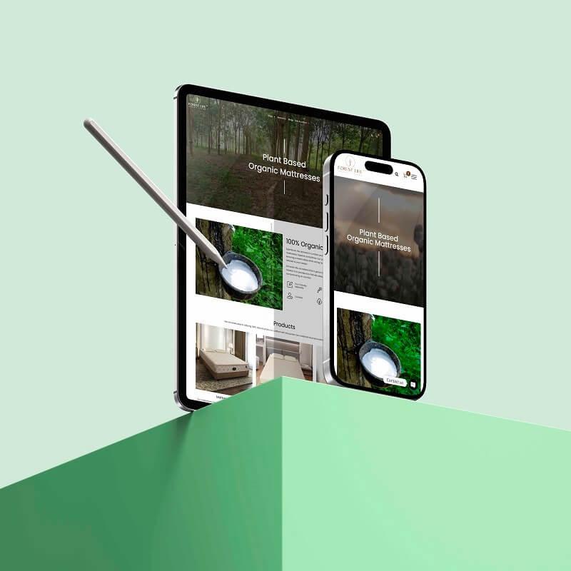 Blossom-web-studio-portfolio