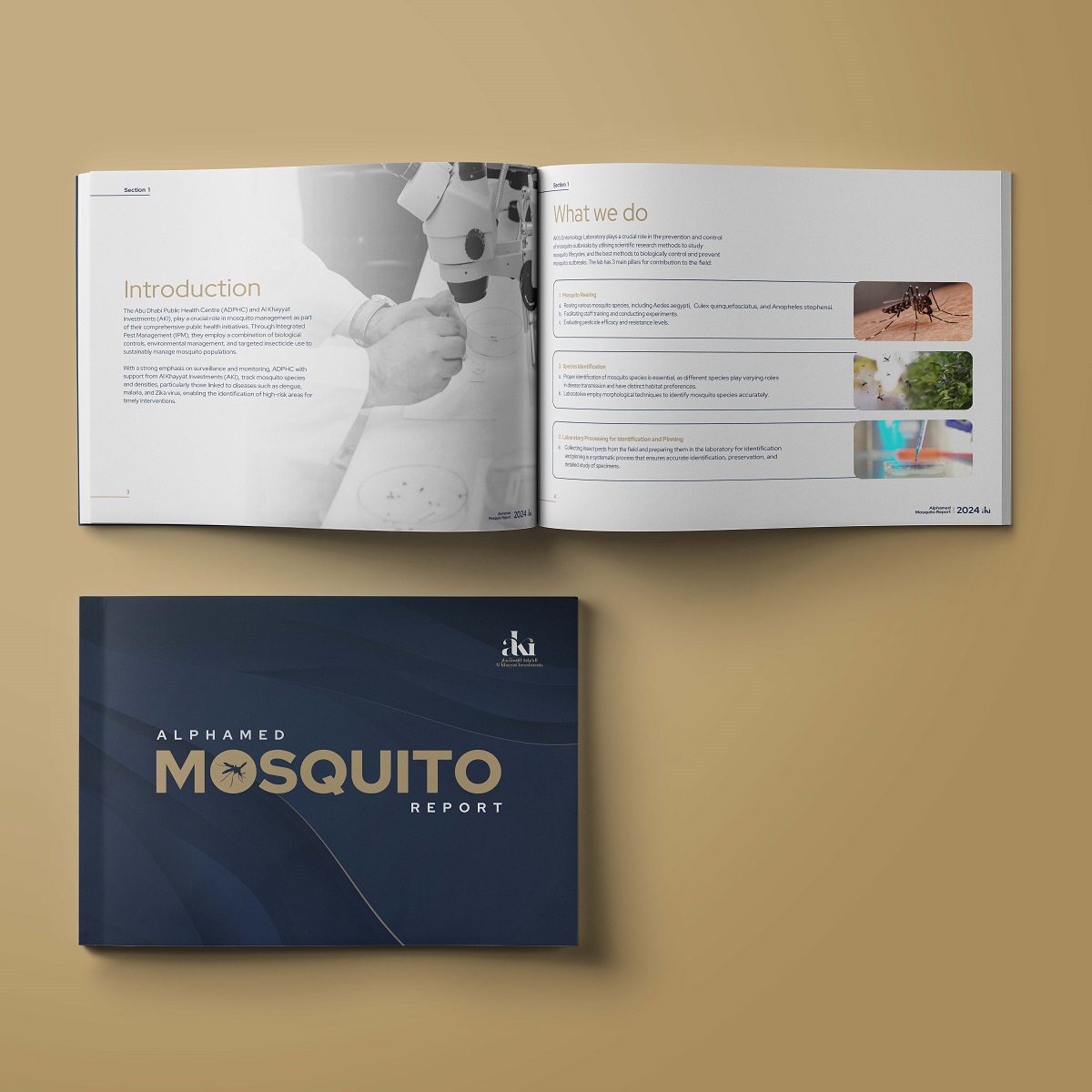 Blossom-web-studio-portfolio