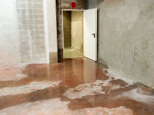 Asbestos services in Baltmore city
