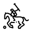 Professional Polo Field