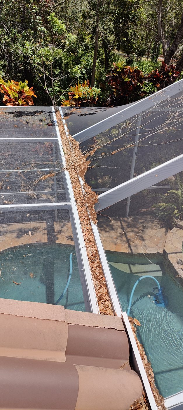 Wide super gutter on a Tampa Bay pool enclosure packed full of leaves and debris