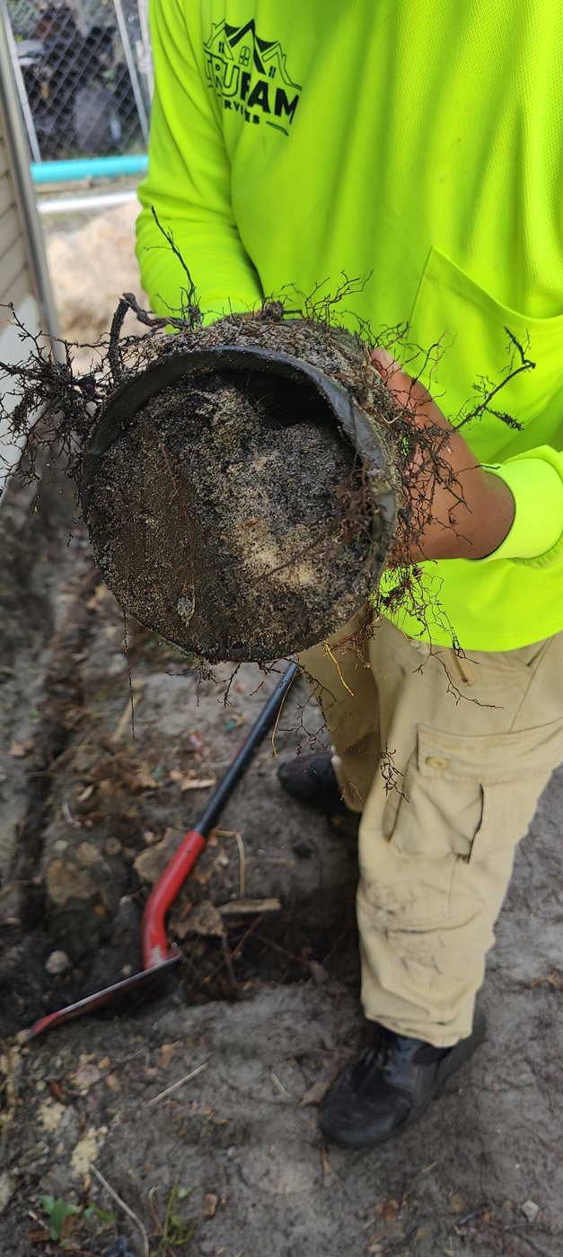 Old foundation drain pipe dug up full of roots and debris with no fabric or stone around it in Tampa Bay