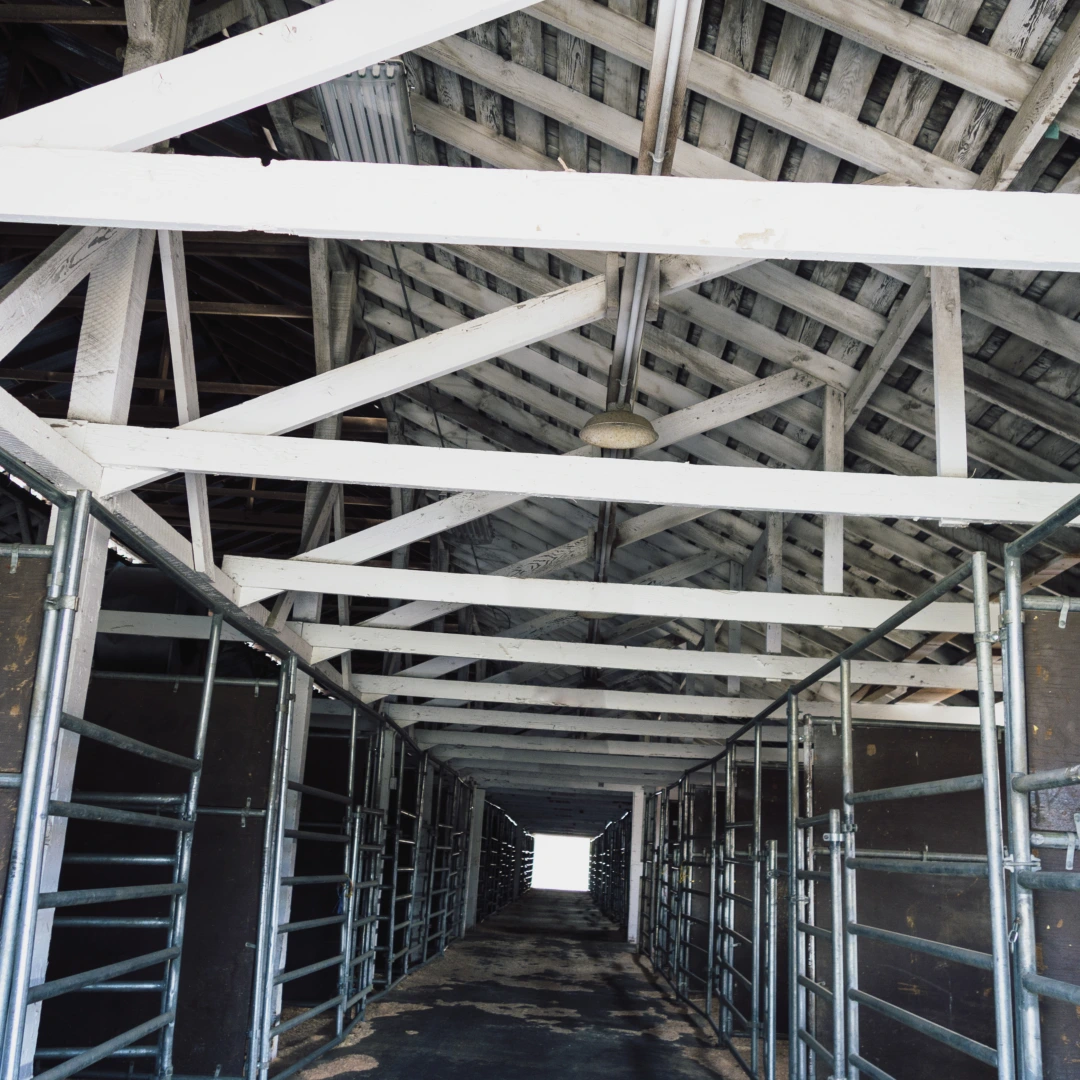 roofing services