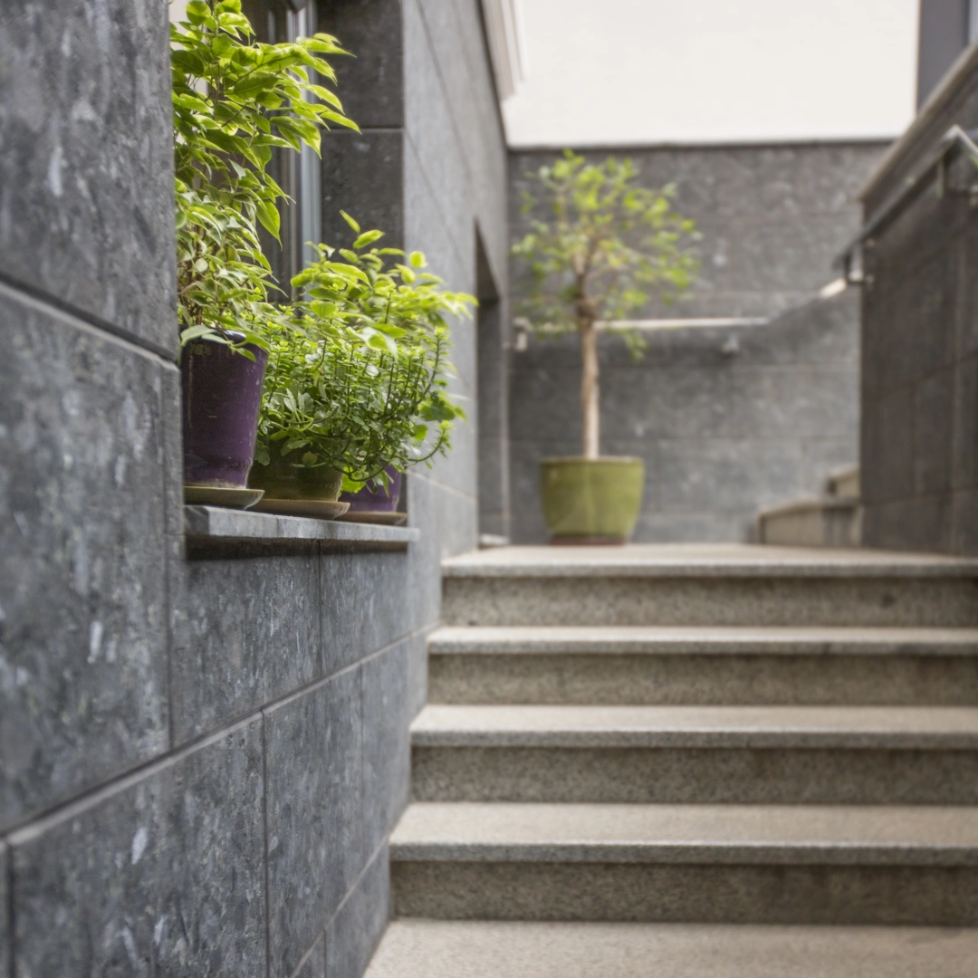 exterior design