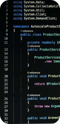 Development Code