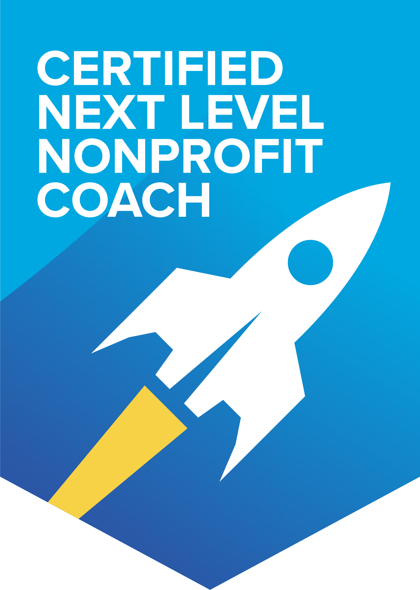 Next Level Nonprofit Coach