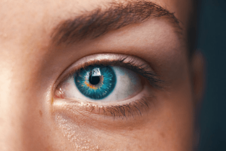 A close up image of a healthy adult's eye.