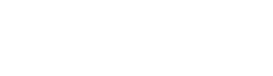 neuro-surge-logo