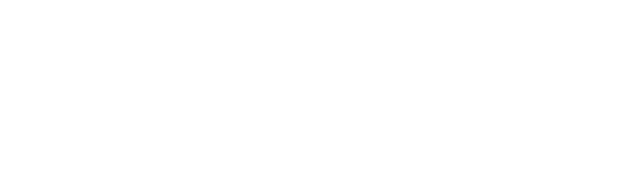 prostapeak-logo